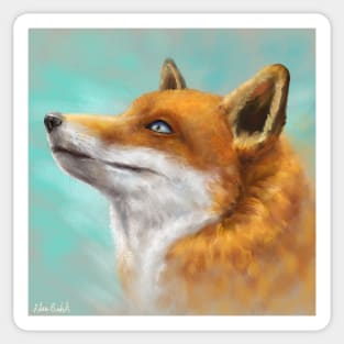 Painting of a Red Fox Looking to the Left with Turquoise Background Sticker